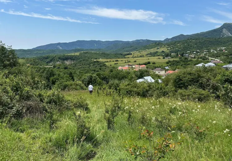 5 sot Torpaq Satılır, Şamaxı