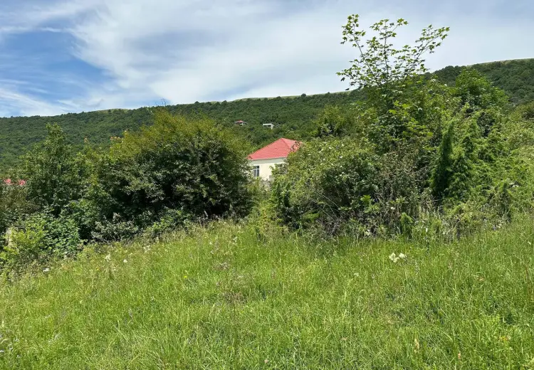 5 sot Torpaq Satılır, Şamaxı