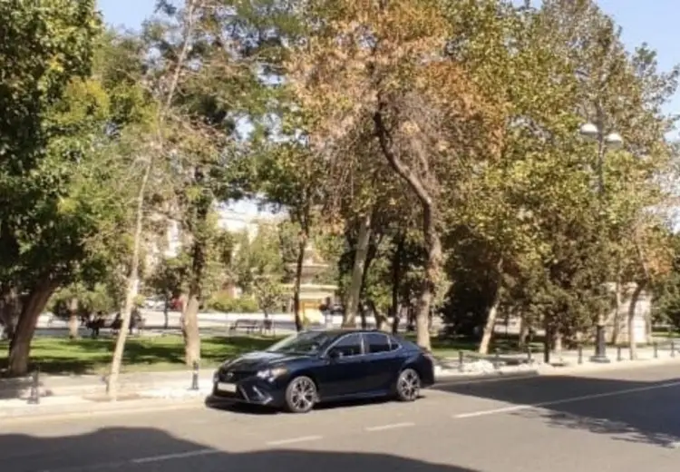 36 m² Obyekt / Ofis Kirayə (aylıq), 20-ci sahə, Səbail, Bakı