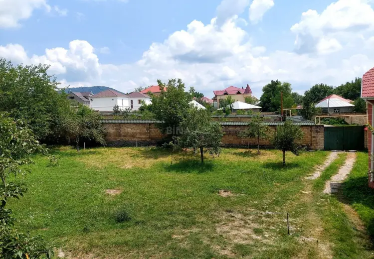 10 sot Torpaq Satılır, Qəbələ