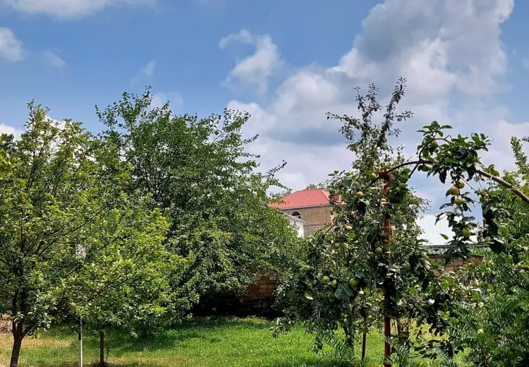 10 sot Torpaq Satılır, Qəbələ