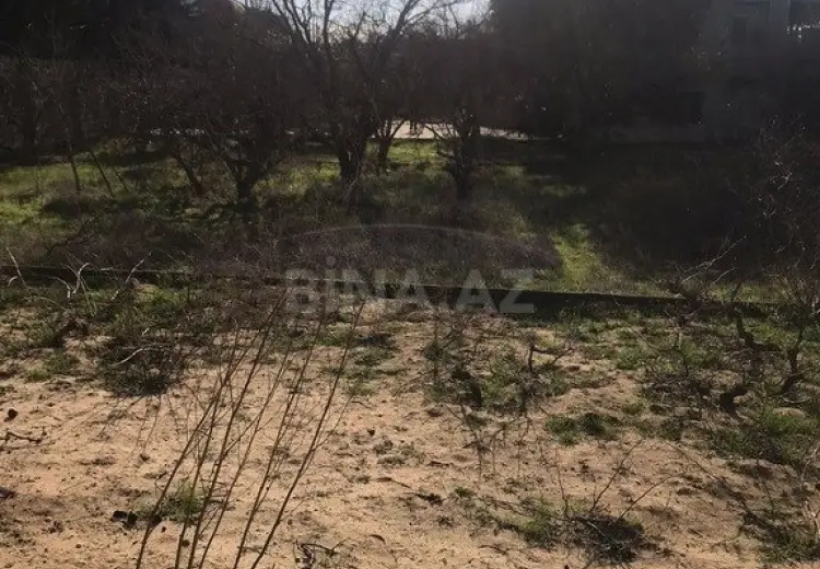 32 sot Torpaq Satılır, Nardaran qəs., Sabunçu, Bakı