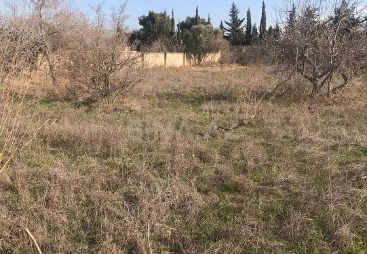 32 sot Torpaq Satılır, Nardaran qəs., Sabunçu, Bakı