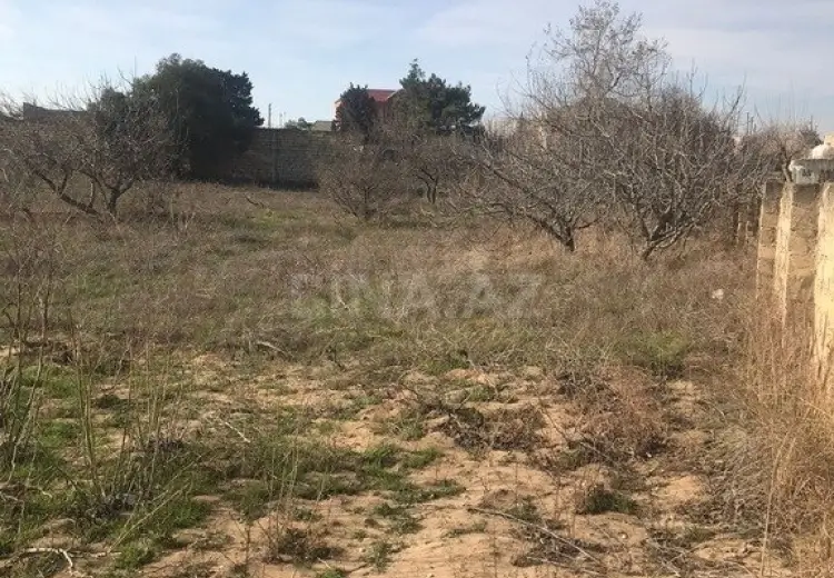 32 sot Torpaq Satılır, Nardaran qəs., Sabunçu, Bakı