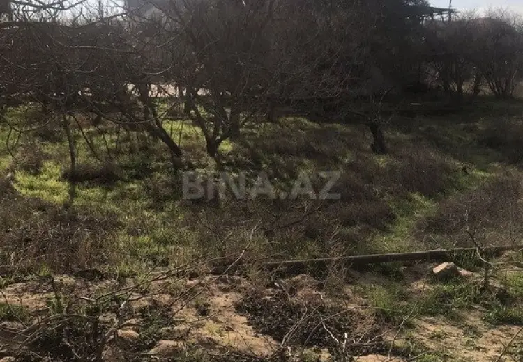 32 sot Torpaq Satılır, Nardaran qəs., Sabunçu, Bakı