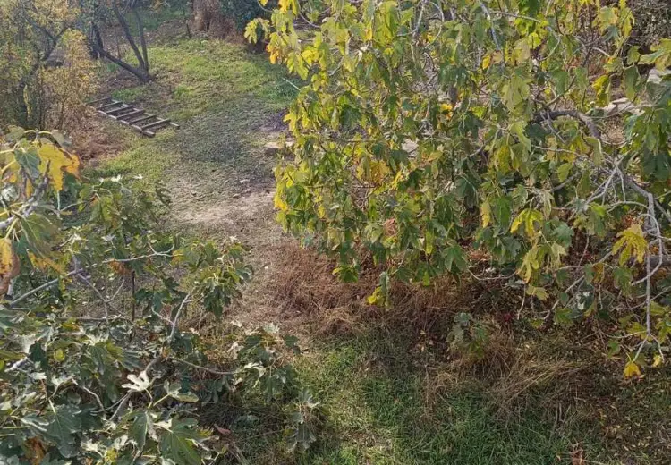 4 sot Torpaq Satılır, Biləcəri qəs., Abşeron
