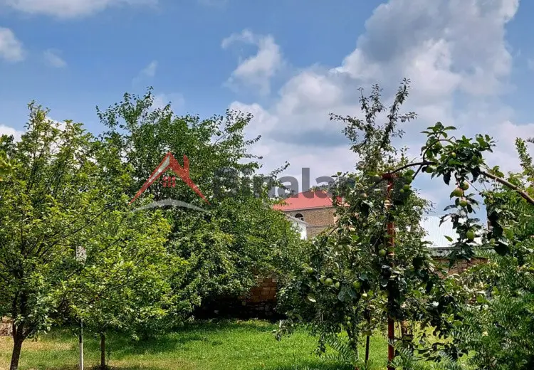 10 sot Torpaq Satılır, Qəbələ