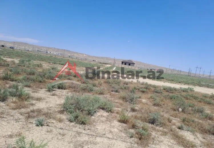 6 sot Torpaq Satılır, Şirvan