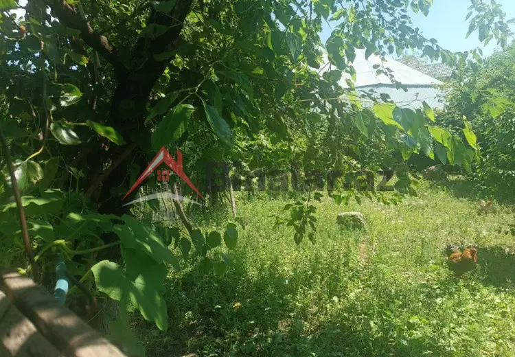 6 sot Torpaq Satılır, Şəki