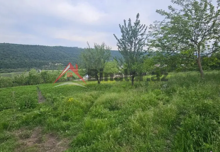 12 sot Torpaq Satılır, Qusar