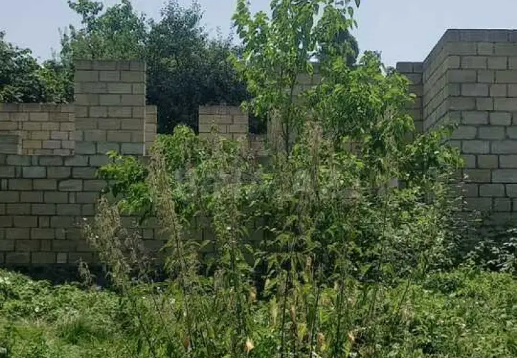 5 sot Torpaq Satılır, Qəbələ