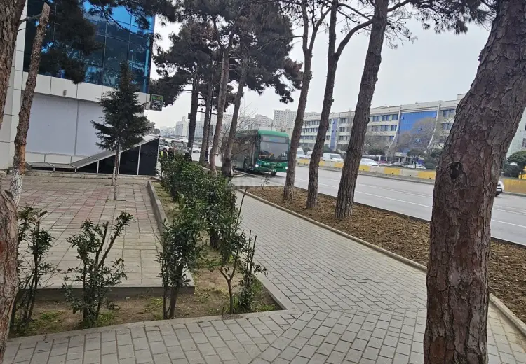 55 m² Obyekt / Ofis Satılır, 1-ci mikrorayon, Nəsimi, Bakı
