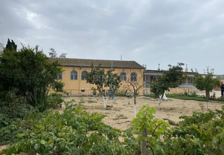 24 sot Torpaq Satılır, Mərdəkan, Xəzər, Bakı