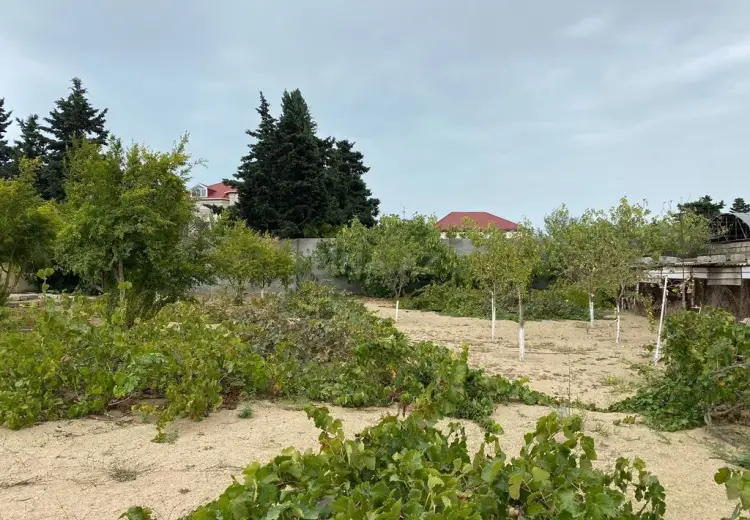 24 sot Torpaq Satılır, Mərdəkan, Xəzər, Bakı