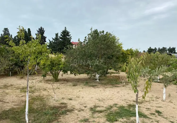 24 sot Torpaq Satılır, Mərdəkan, Xəzər, Bakı