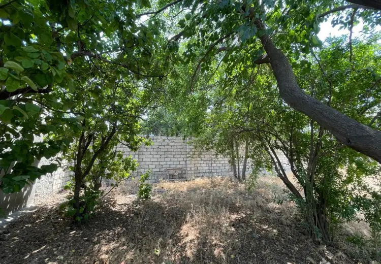 10 sot Torpaq Satılır, Buzovna, Xəzər, Bakı