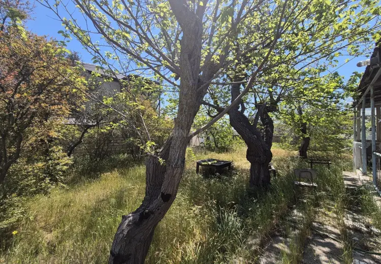 8 sot Torpaq Satılır, Bilgəh qəs., Sabunçu, Bakı