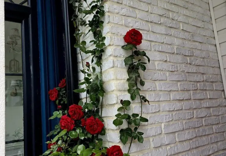 7 otaqlı mənzil Satılır, Badamdar qəs., Səbail, Bakı
