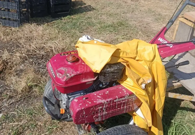 750 sot Torpaq Satılır, Xaçmaz