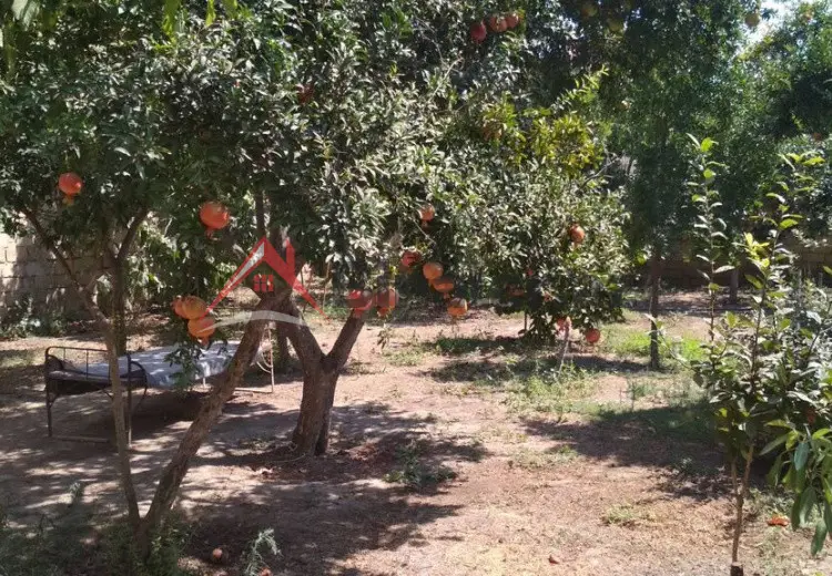3 sot Torpaq Satılır, Xırdalan
