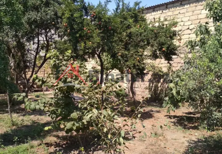 3 sot Torpaq Satılır, Xırdalan