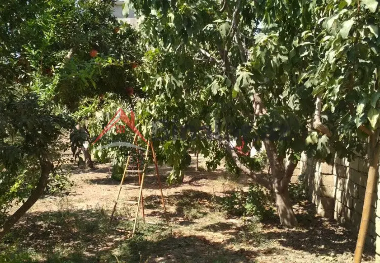 3 sot Torpaq Satılır, Xırdalan
