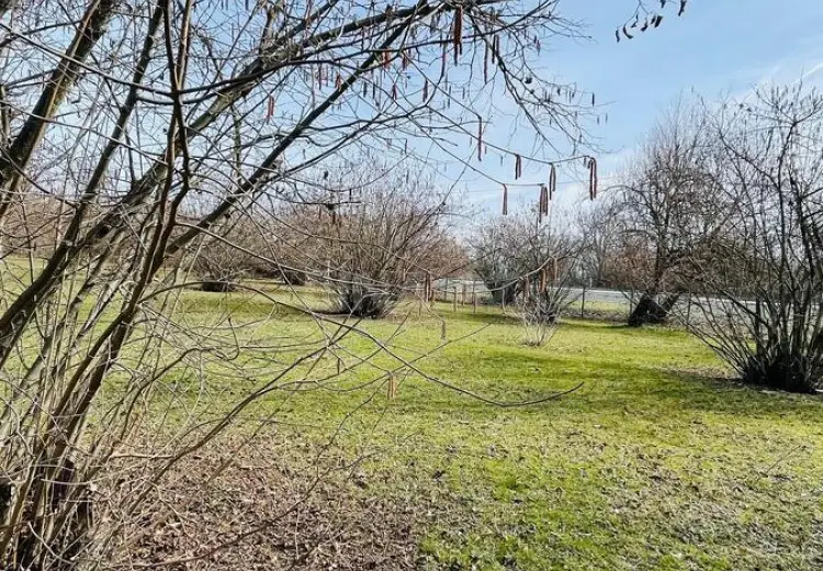 20 sot Torpaq Satılır, Qəbələ
