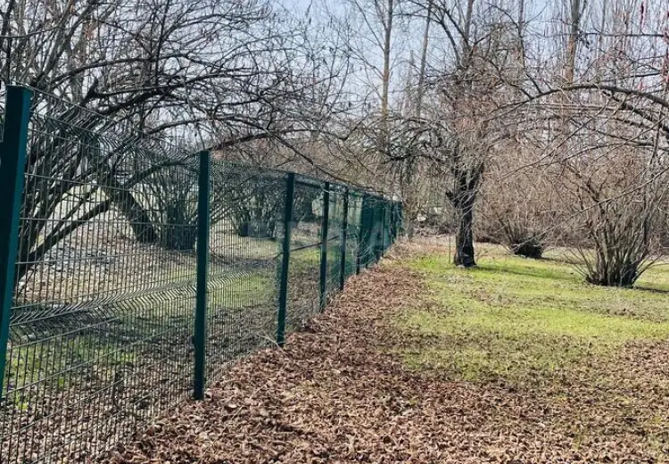 20 sot Torpaq Satılır, Qəbələ