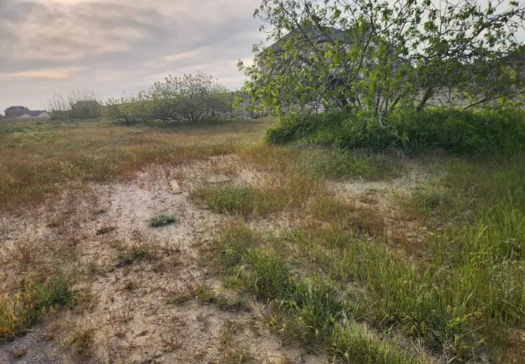 25 sot Torpaq Satılır, Nardaran qəs., Sabunçu, Bakı