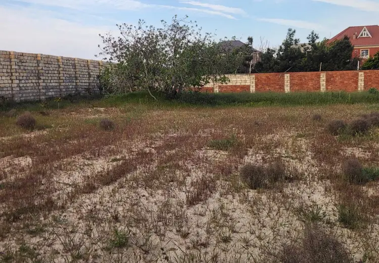 12 sot Torpaq Satılır, Nardaran qəs., Sabunçu, Bakı