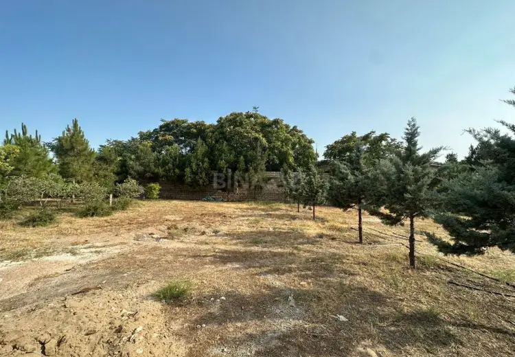 16 sot Torpaq Satılır, Mərdəkan, Xəzər, Bakı