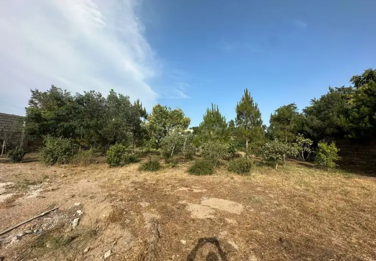 16 sot Torpaq Satılır, Mərdəkan, Xəzər, Bakı