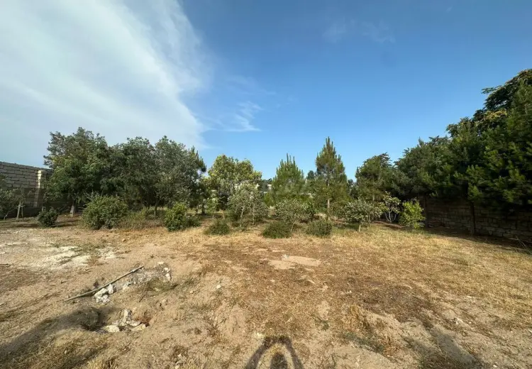 16 sot Torpaq Satılır, Mərdəkan, Xəzər, Bakı