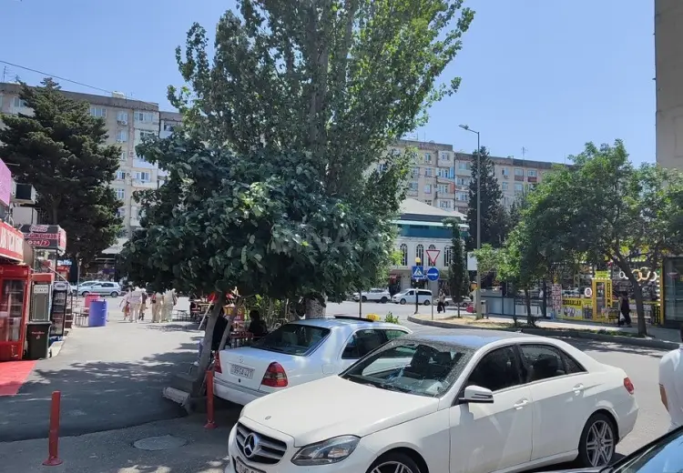 35 m² Obyekt / Ofis Kirayə (aylıq), Xətai, Bakı