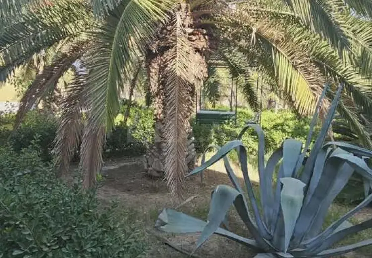 62 sot Torpaq Satılır, Şüvəlan, Xəzər, Bakı