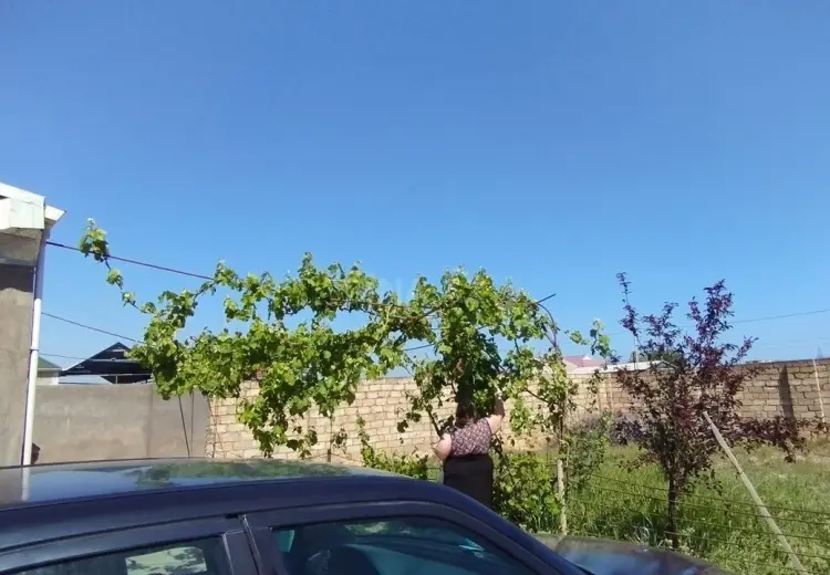 2 otaqlı mənzil Satılır, Ələt qəs., Qaradağ, Bakı