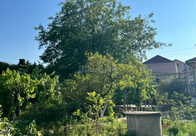 10 sot Torpaq Satılır, Novxanı, Abşeron