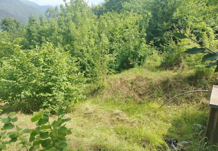 12 sot Torpaq Satılır, İsmayıllı