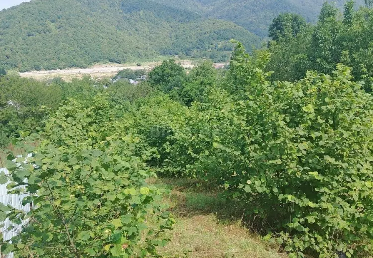 12 sot Torpaq Satılır, İsmayıllı
