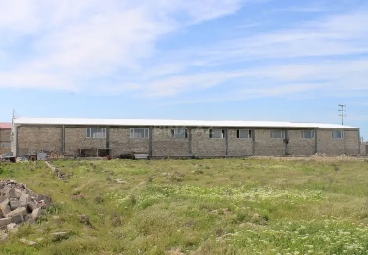 1325 m² Obyekt / Ofis Satılır, Binə qəs., Xəzər, Bakı