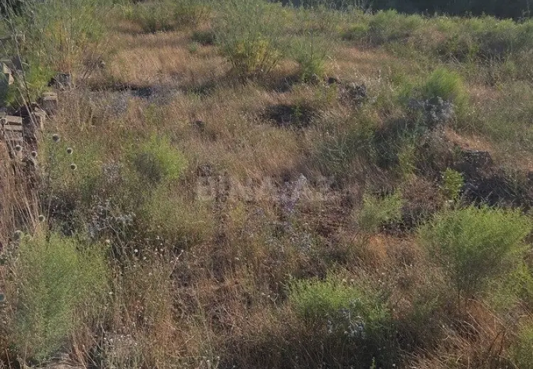 13 sot Torpaq Satılır, Nardaran qəs., Sabunçu, Bakı
