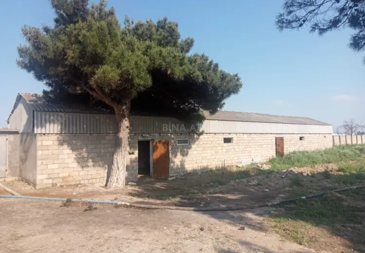 130 sot Torpaq Satılır, Məştağa qəs., Sabunçu, Bakı