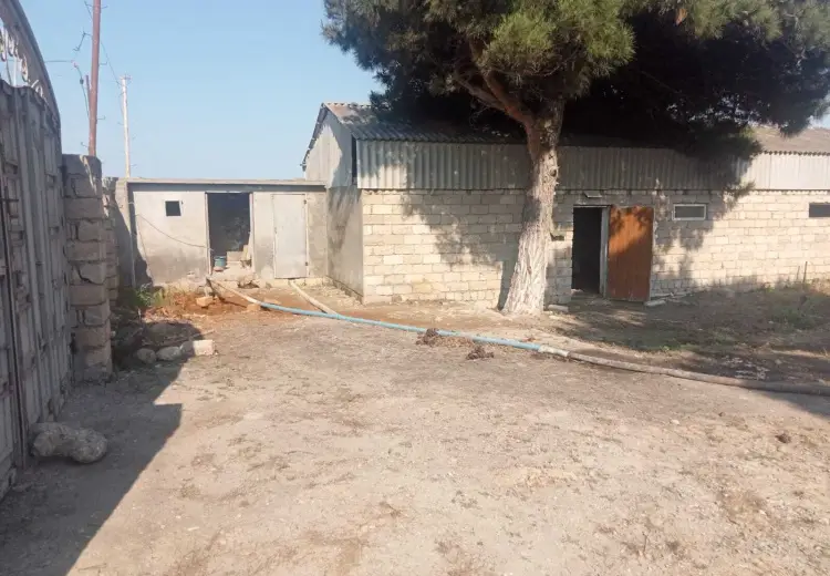 130 sot Torpaq Satılır, Məştağa qəs., Sabunçu, Bakı