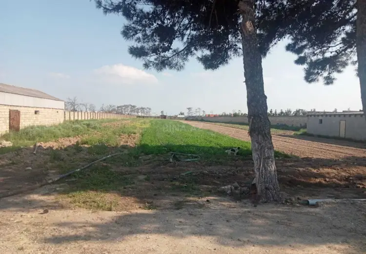 130 sot Torpaq Satılır, Məştağa qəs., Sabunçu, Bakı