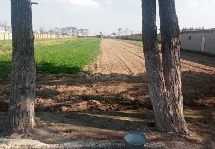 130 sot Torpaq Satılır, Məştağa qəs., Sabunçu, Bakı