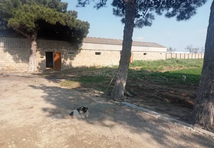 130 sot Torpaq Satılır, Məştağa qəs., Sabunçu, Bakı