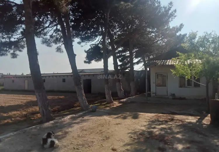 130 sot Torpaq Satılır, Məştağa qəs., Sabunçu, Bakı