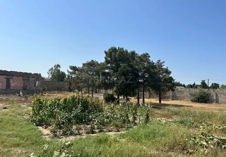 24 sot Torpaq Satılır, Mərdəkan, Xəzər, Bakı