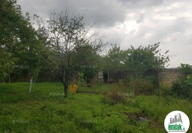 8 sot Torpaq Satılır, İsmayıllı