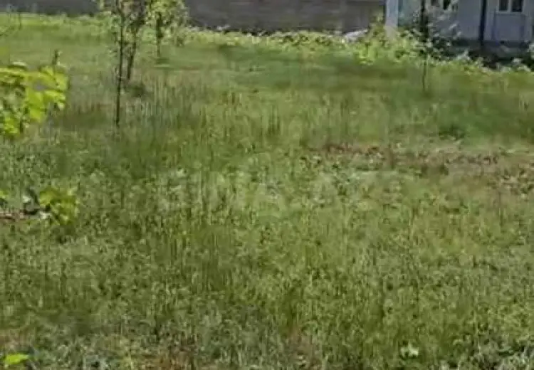 20 sot Torpaq Satılır, Qəbələ